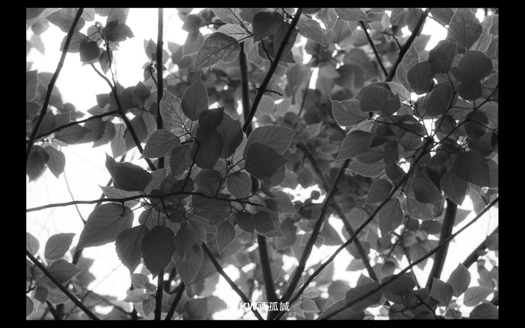 再遇璜溪--古村的肌理