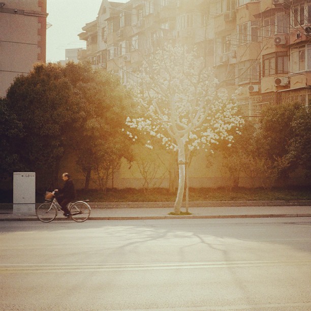 Nothing is everything