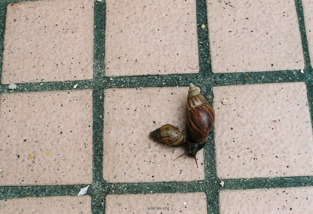 绿茵岛屿或者其它