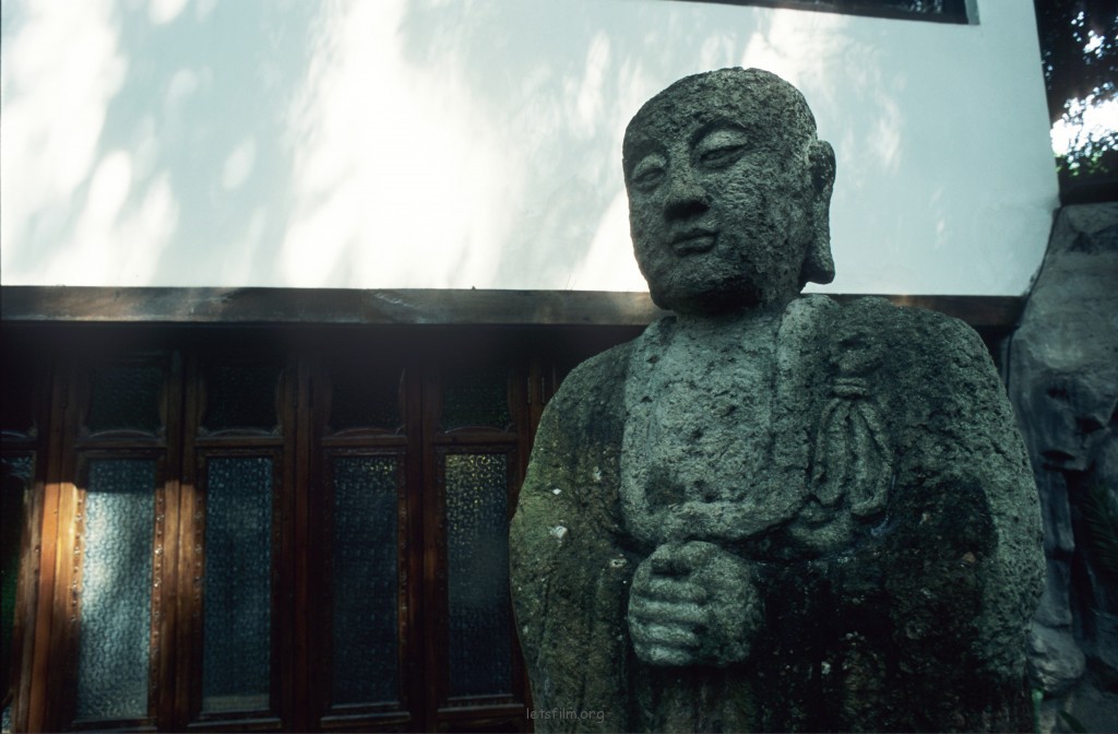 广州兰圃