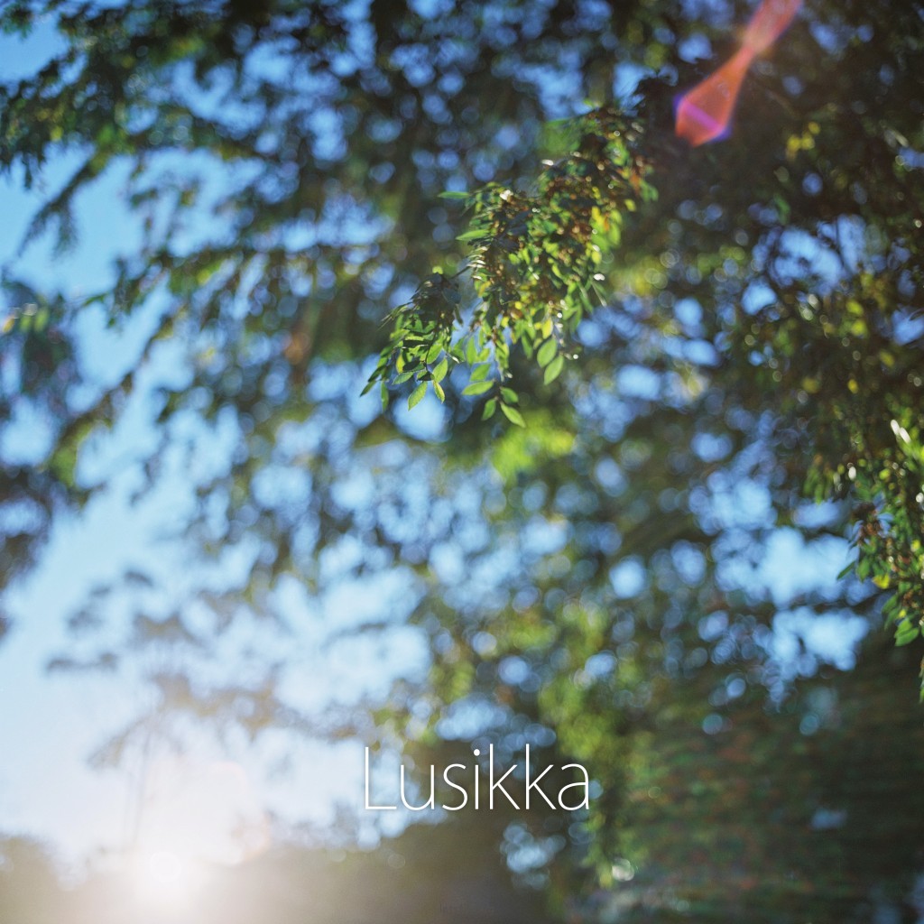 Lusikka 瓶子的故事