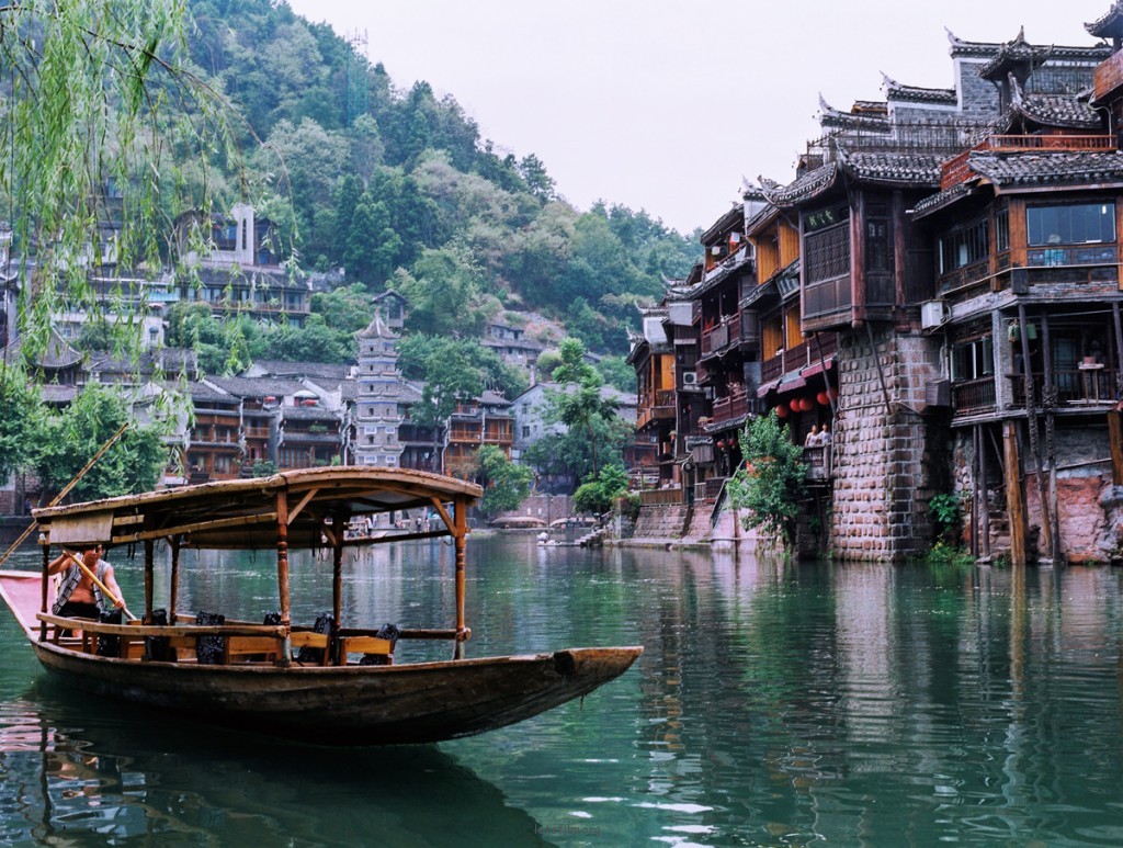 八月凤凰