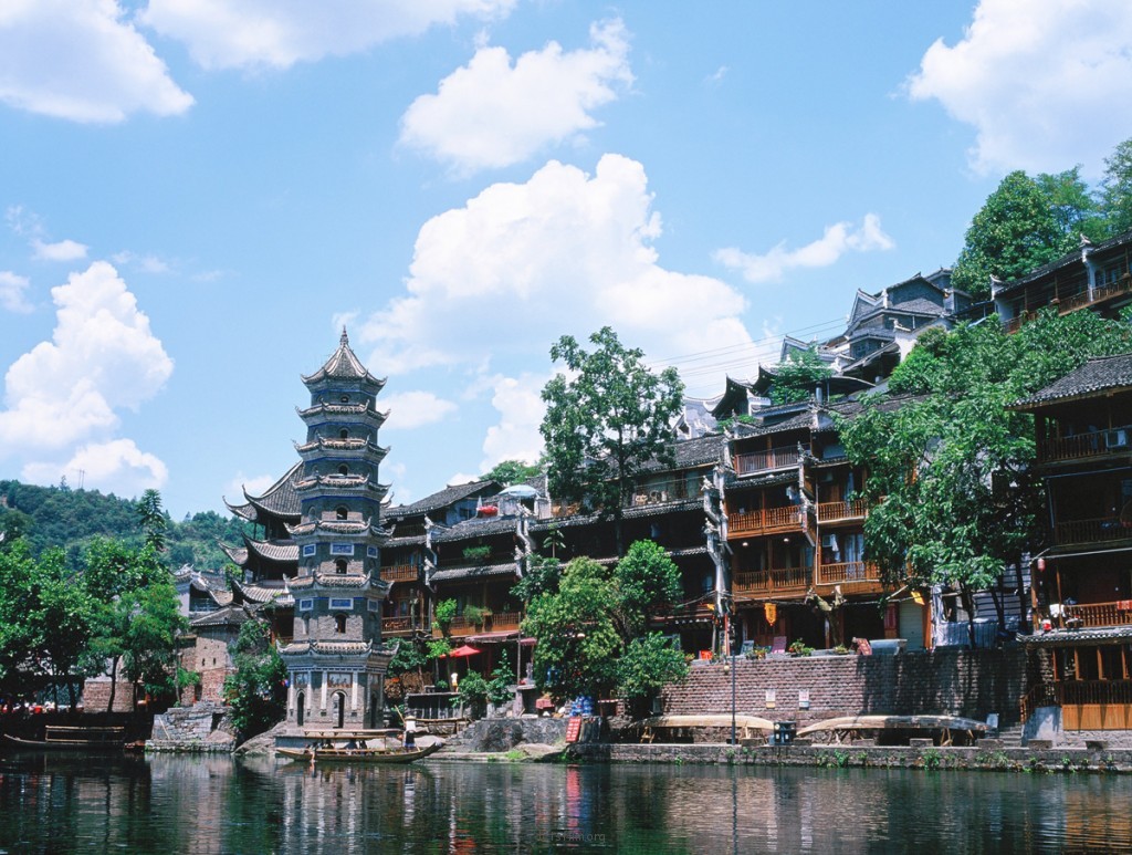 八月凤凰