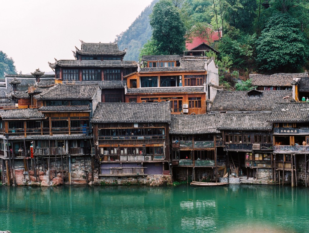 八月凤凰