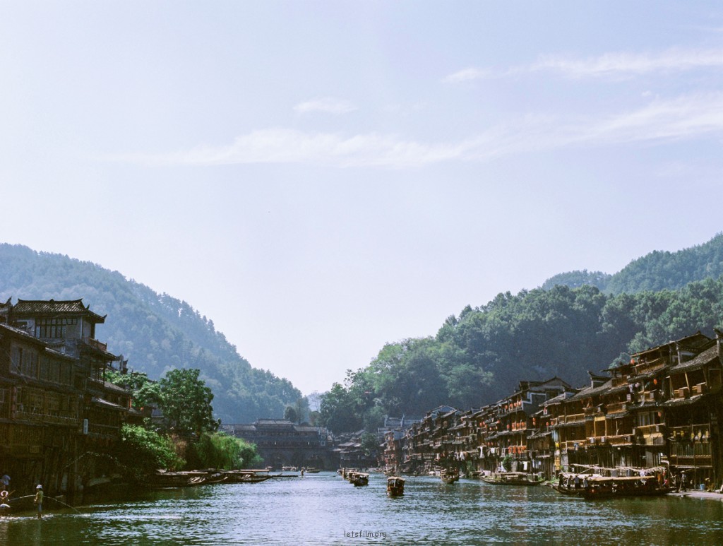 八月凤凰
