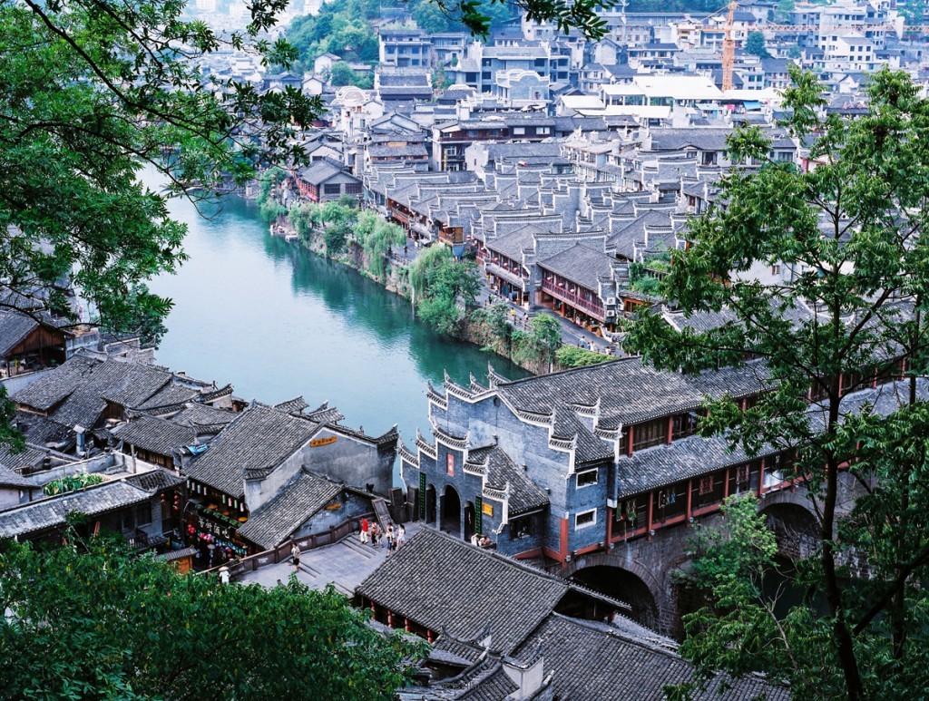 八月凤凰