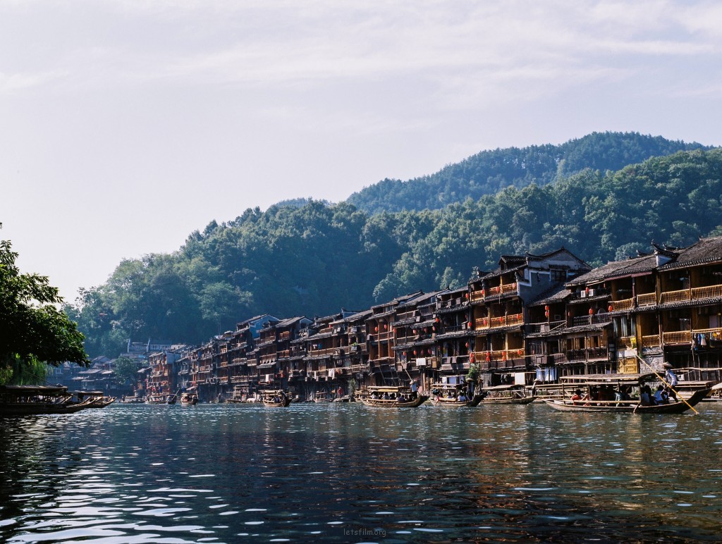 八月凤凰