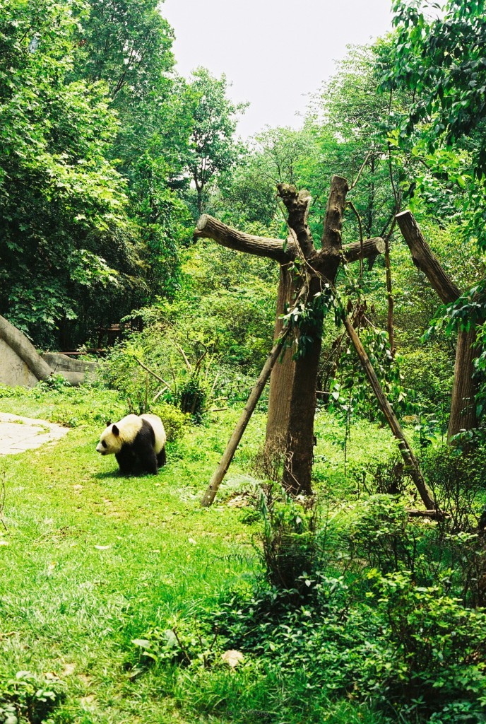 重慶—一個來了就不想走的城市