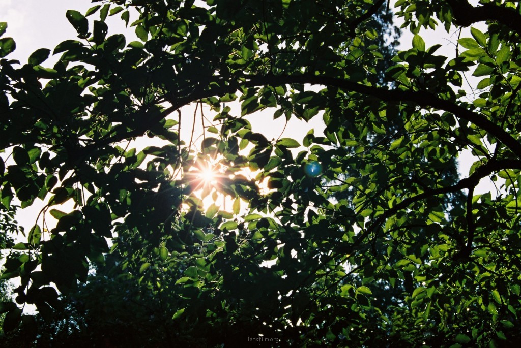 Lazy Day/夏。游记
