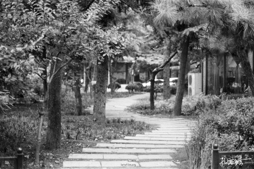 夏日婚纱