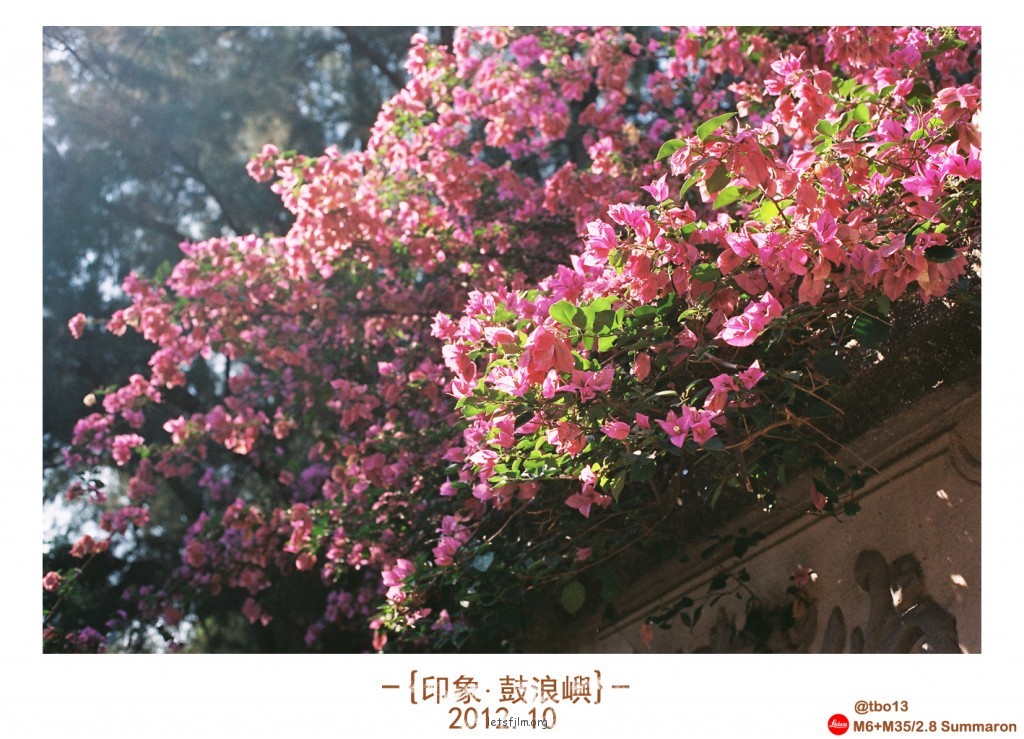 厦门回忆