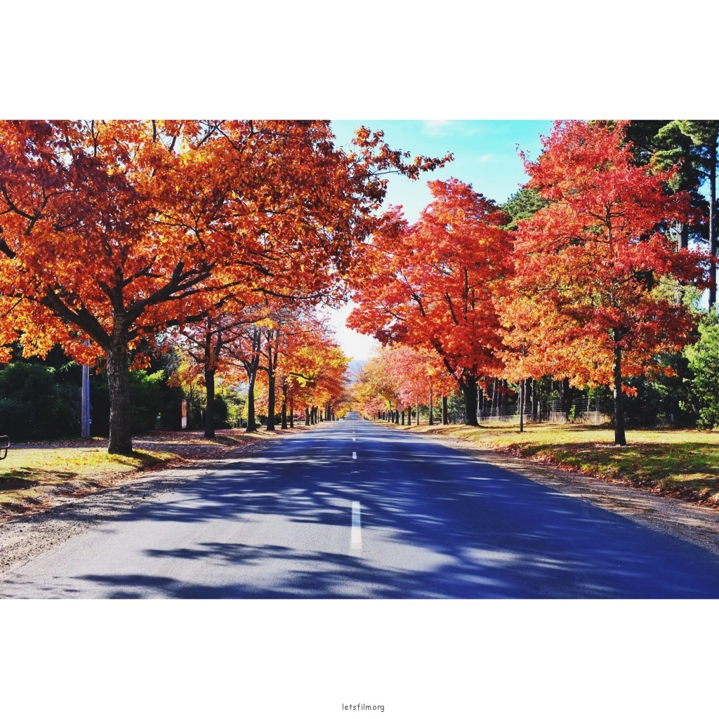 路