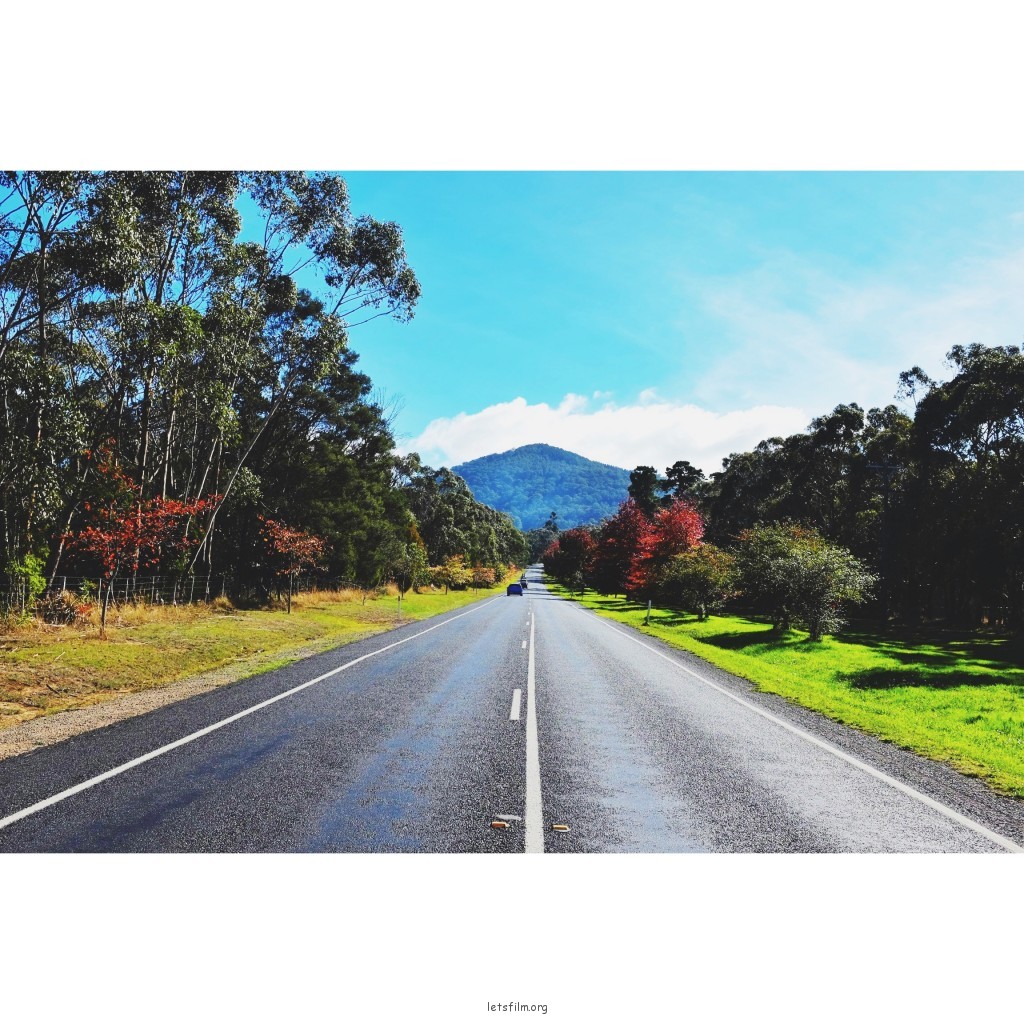 路