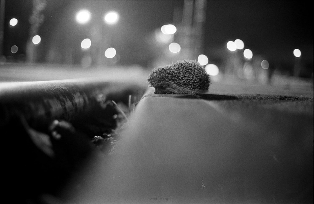 美能达 Minolta CLE
