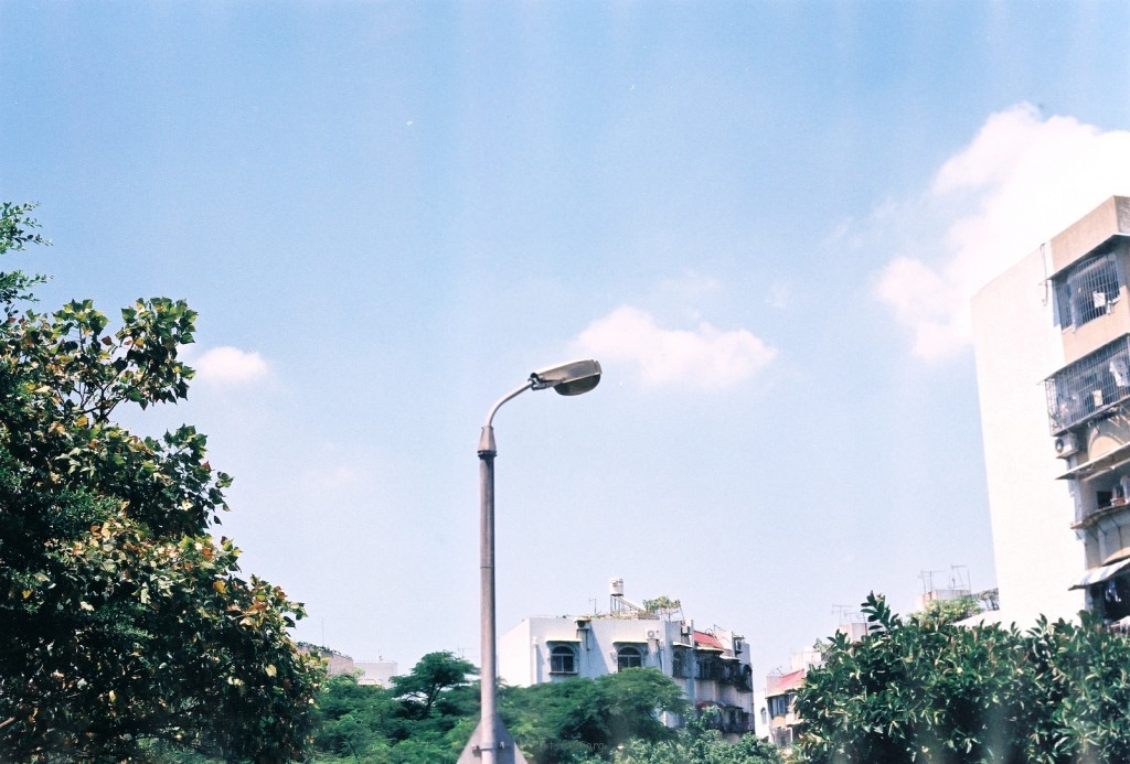 恋夏
