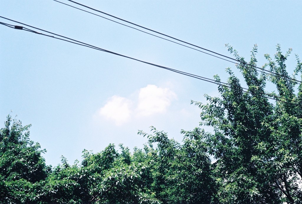 恋夏