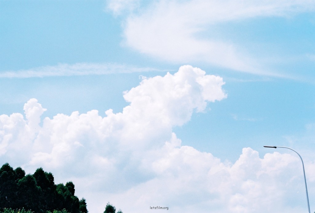 恋夏