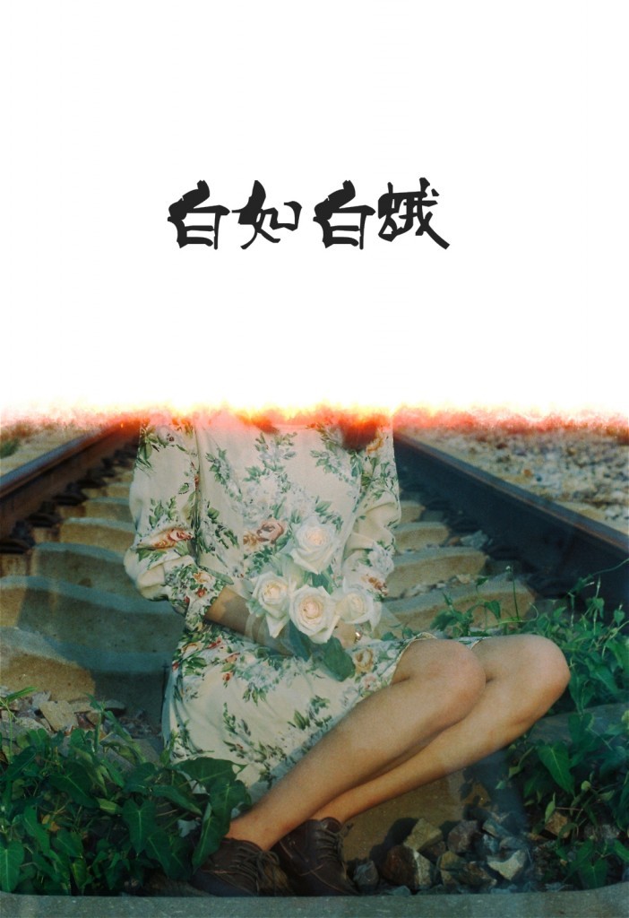 白如白蛾