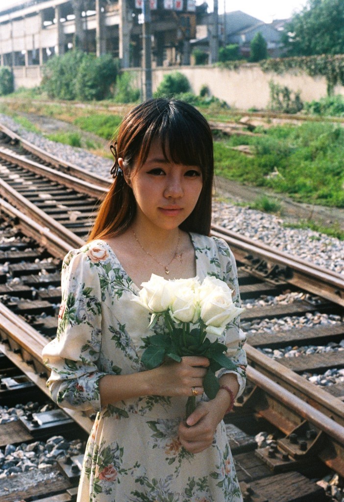 白如白蛾