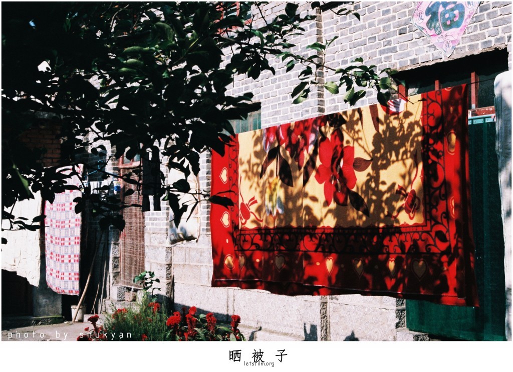 镜头中神态自若的小伙伴们