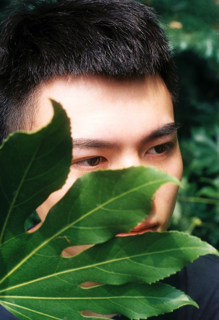 薄荷少年
