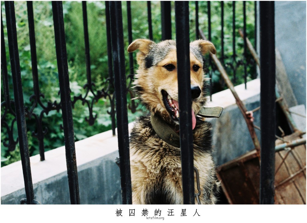 镜头中神态自若的小伙伴们