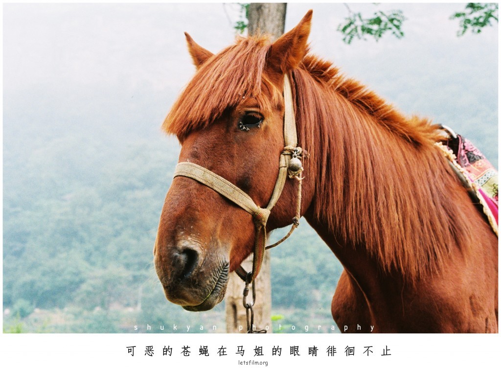 镜头中神态自若的小伙伴们