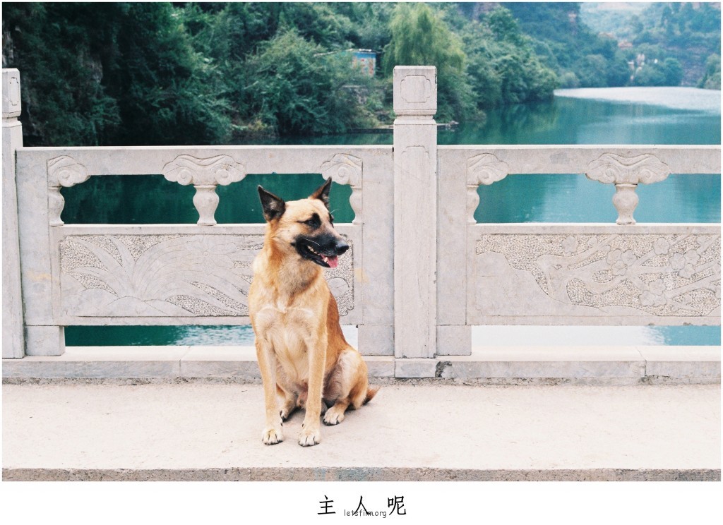 镜头中神态自若的小伙伴们