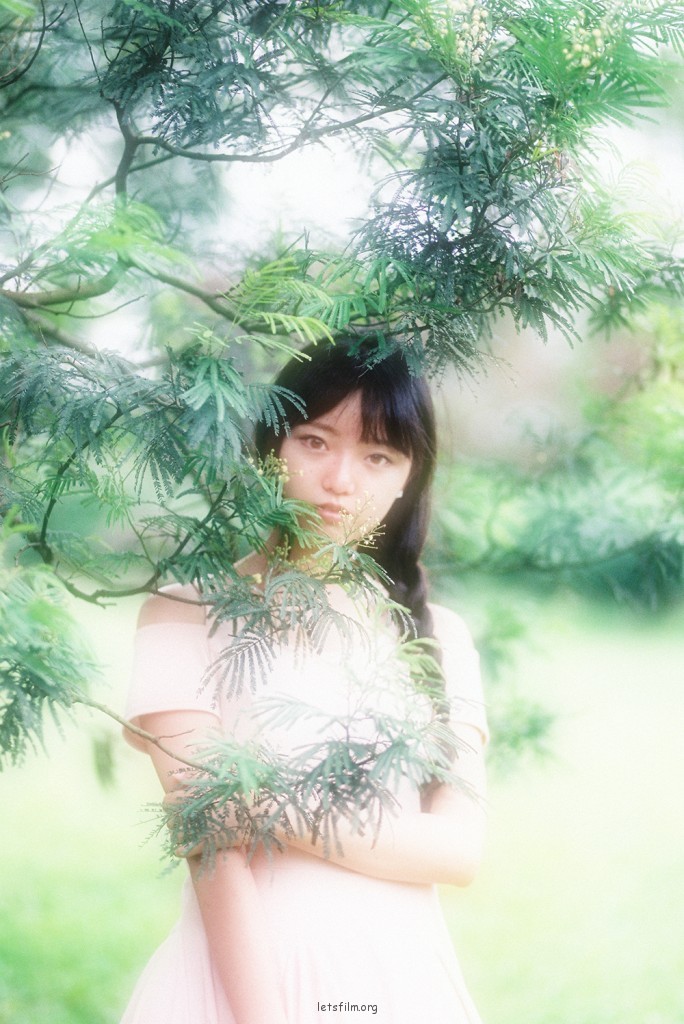 畸恋.双生花