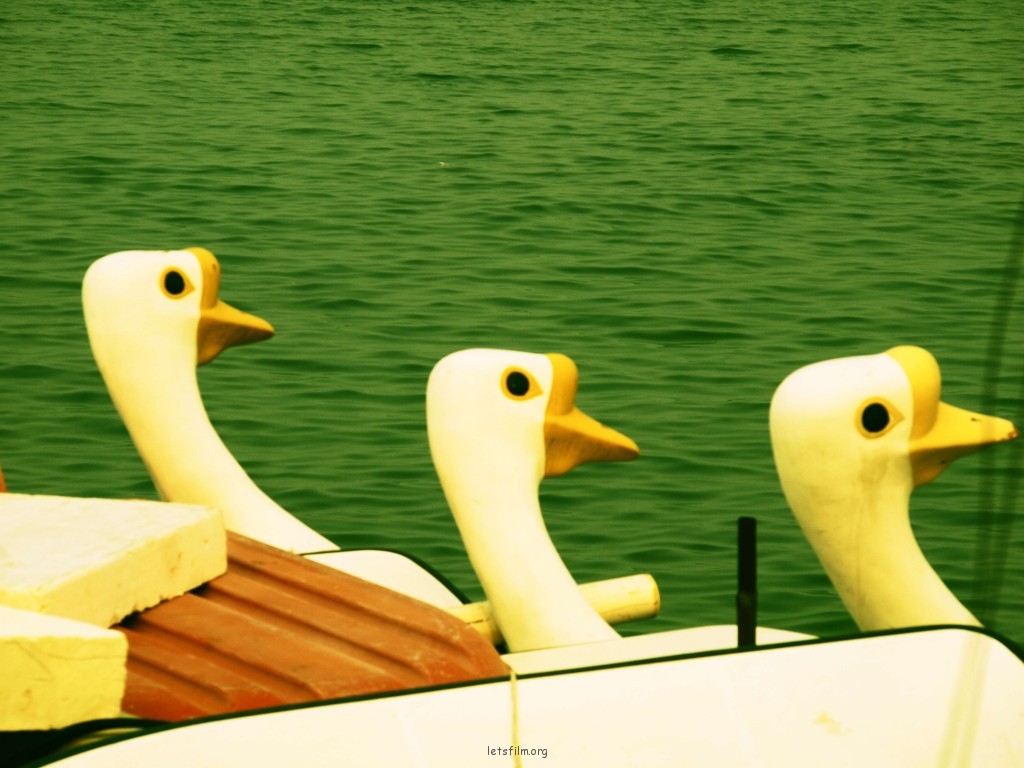 夏末。海