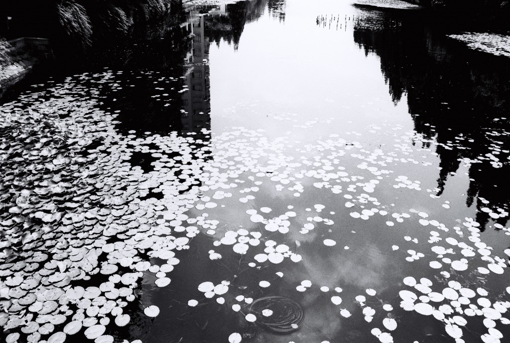 black&white_ecnu