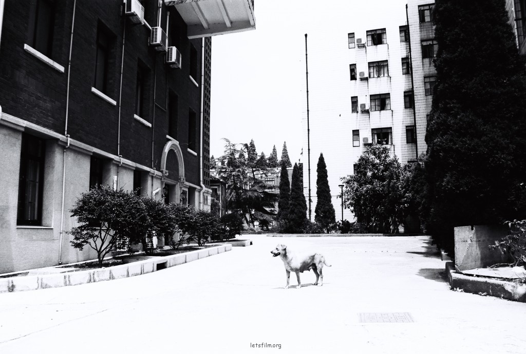 black&white_ecnu