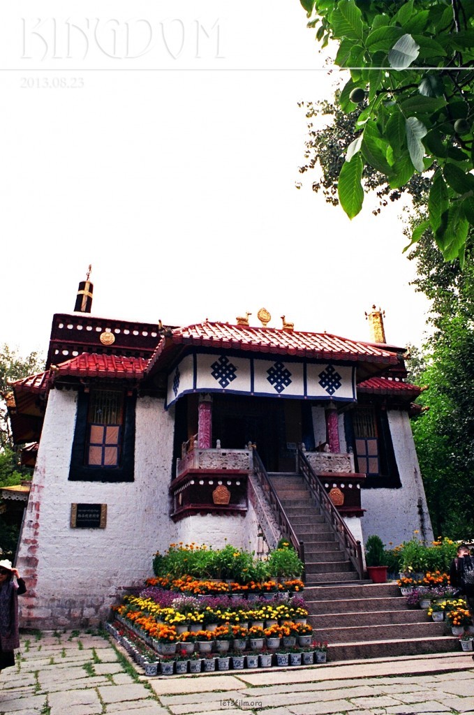 树荫下的美梦——罗布林卡