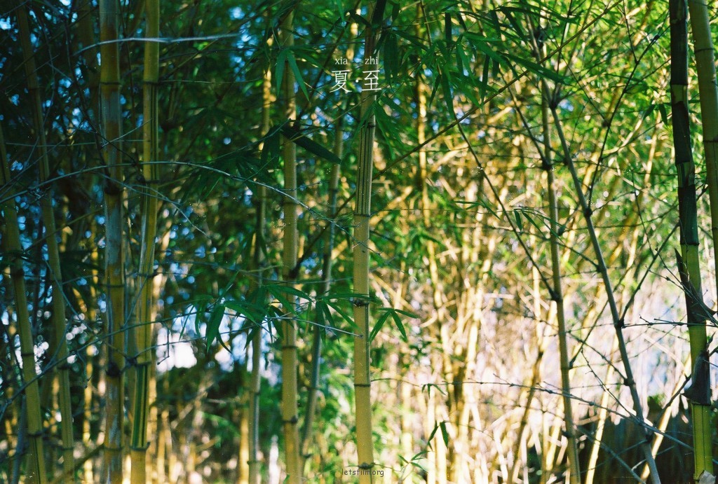 夏.至