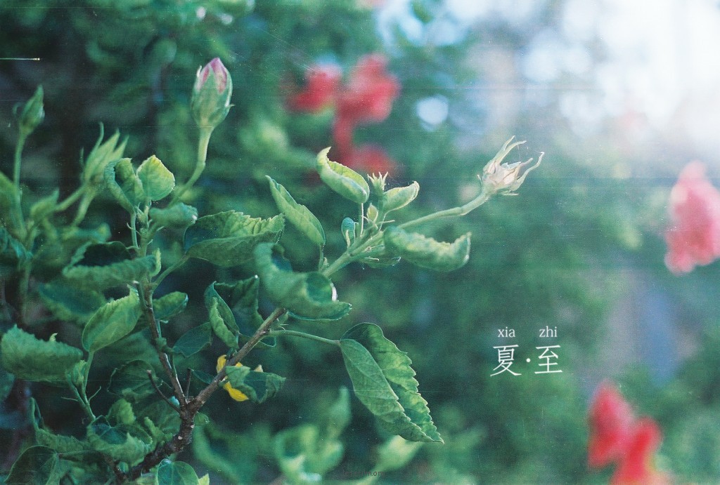 夏.至
