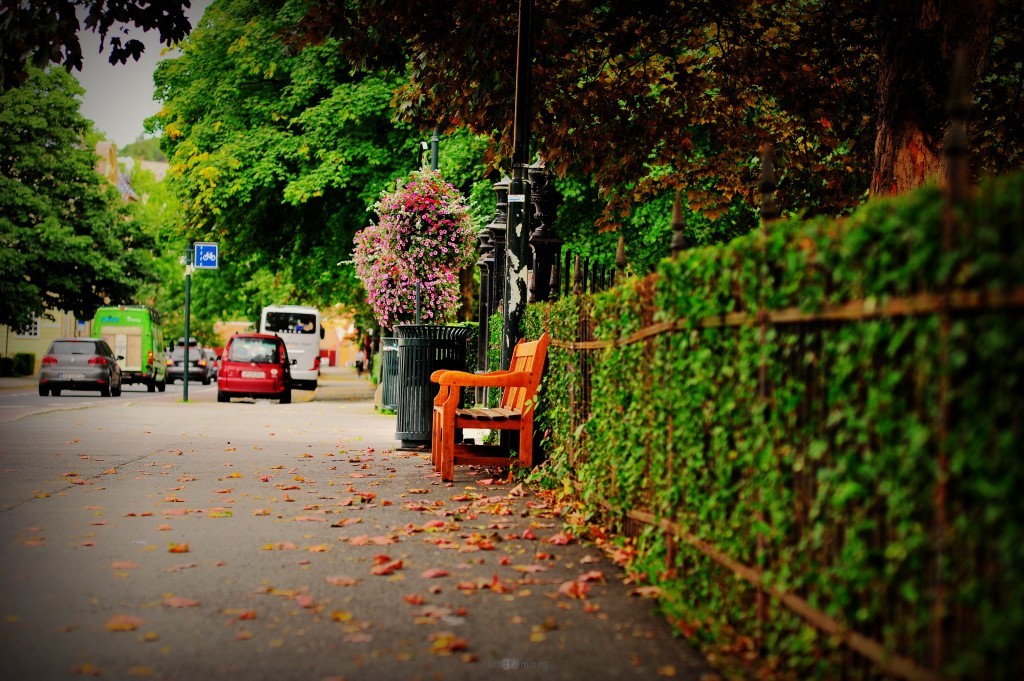 夏去秋来游北欧
