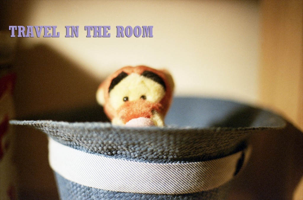 TRAVEL IN TEH ROOM