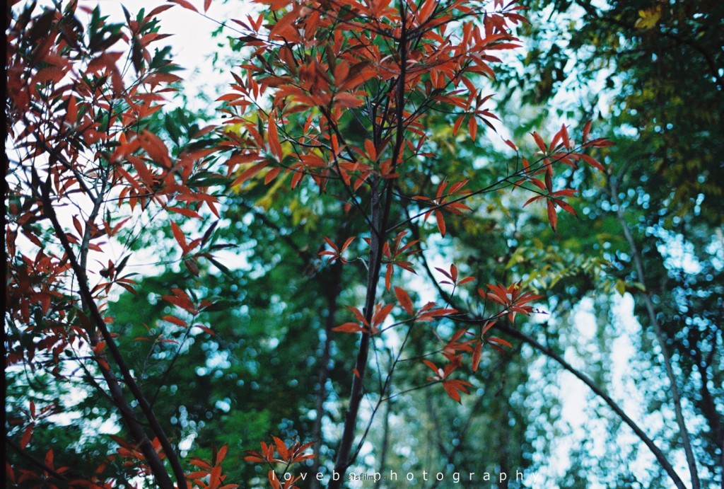 时光