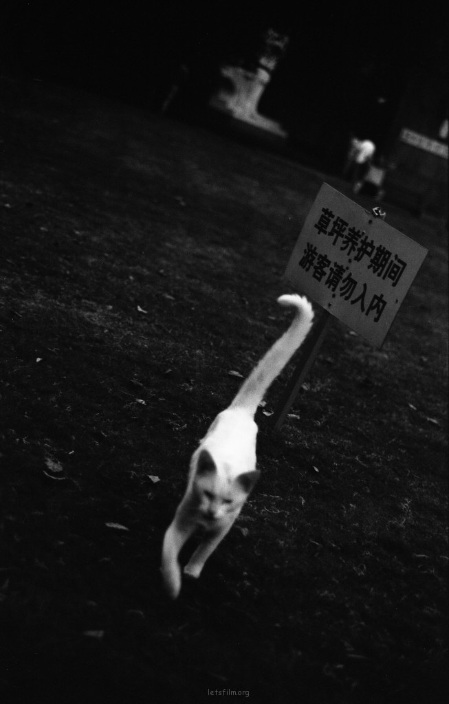 黑白映画