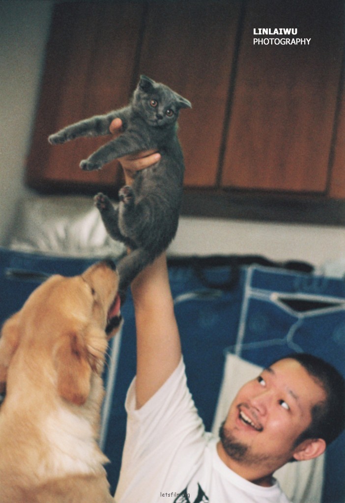 猫狗乌托邦