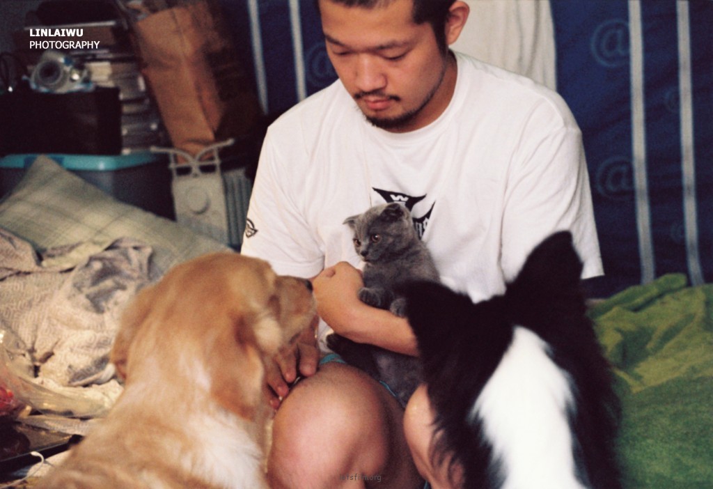 猫狗乌托邦