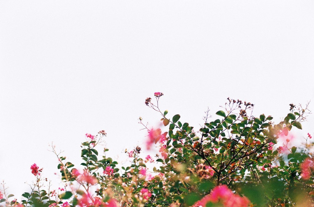 000031