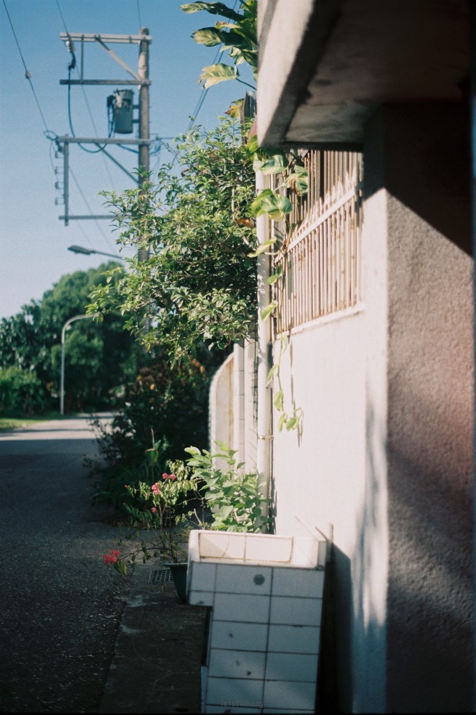 花莲花莲