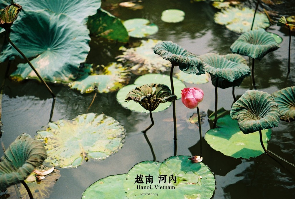 越南，让时间慢慢流… 