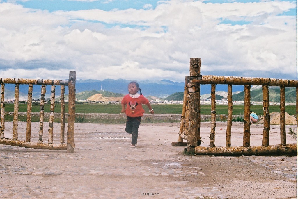 在香格里拉的最后一晚住在草原上的老谢，院子里的椅子朝向一扇木门，木门外面野花一片的草原，人和动物在草原上繁衍