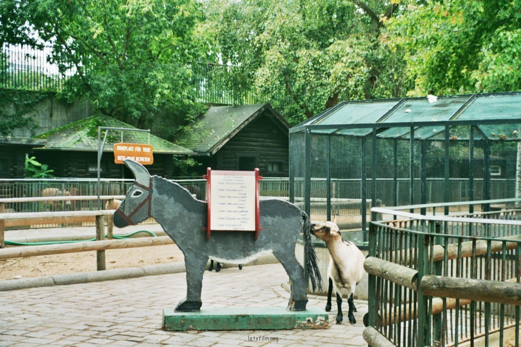 動物園的孩子們