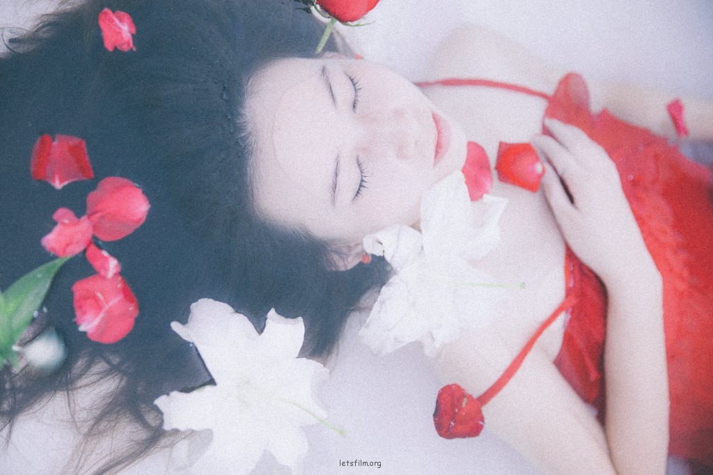 百合花间