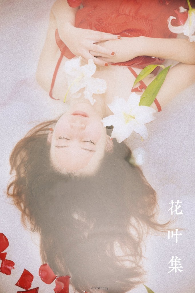 百合花间