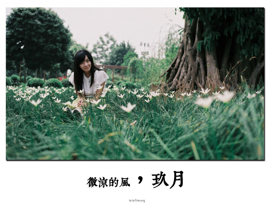 微涼的風。