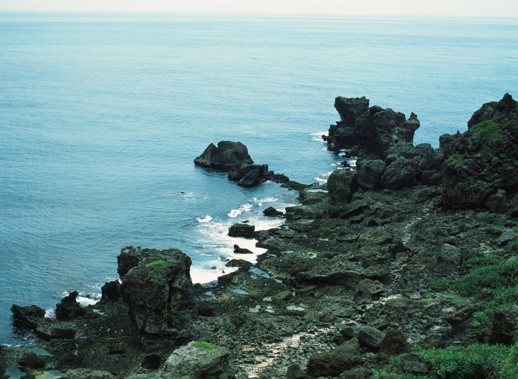 从城市到乡村
